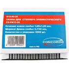 Скобы для пневмостеплера Concorde 5.7x35мм 5000шт — Фото 1